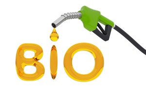Learn How to Make BioDiesel at Home: An Easy UK Guide