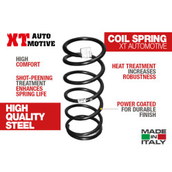 XT Automotive Rear Coil Springs 60mm for Hyundai Galloper SWB